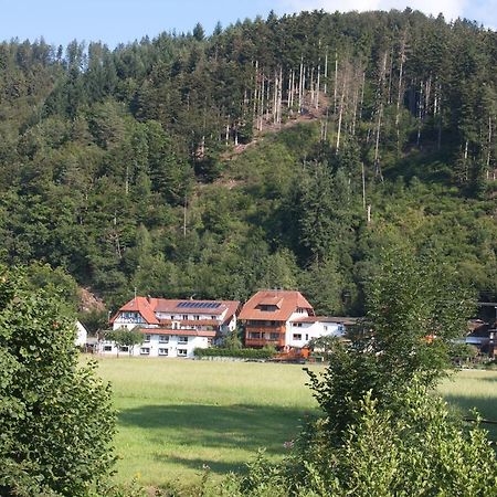 Ferienwohnung Am Rain Winden im Elztal Exterior photo