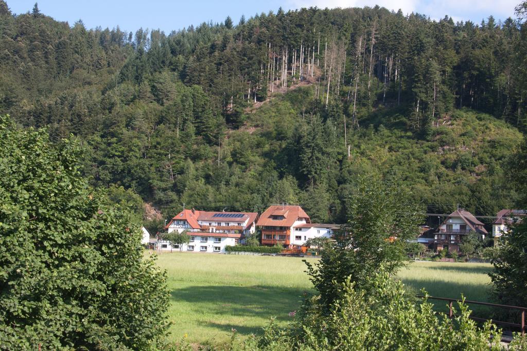 Ferienwohnung Am Rain Winden im Elztal Exterior photo